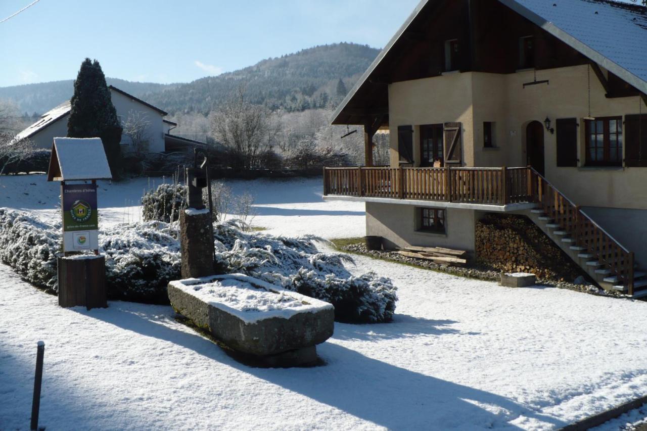 Les Jumeaux Appartement Granges-sur-Vologne Buitenkant foto