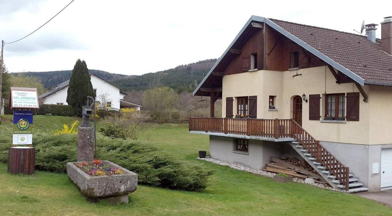 Les Jumeaux Appartement Granges-sur-Vologne Kamer foto